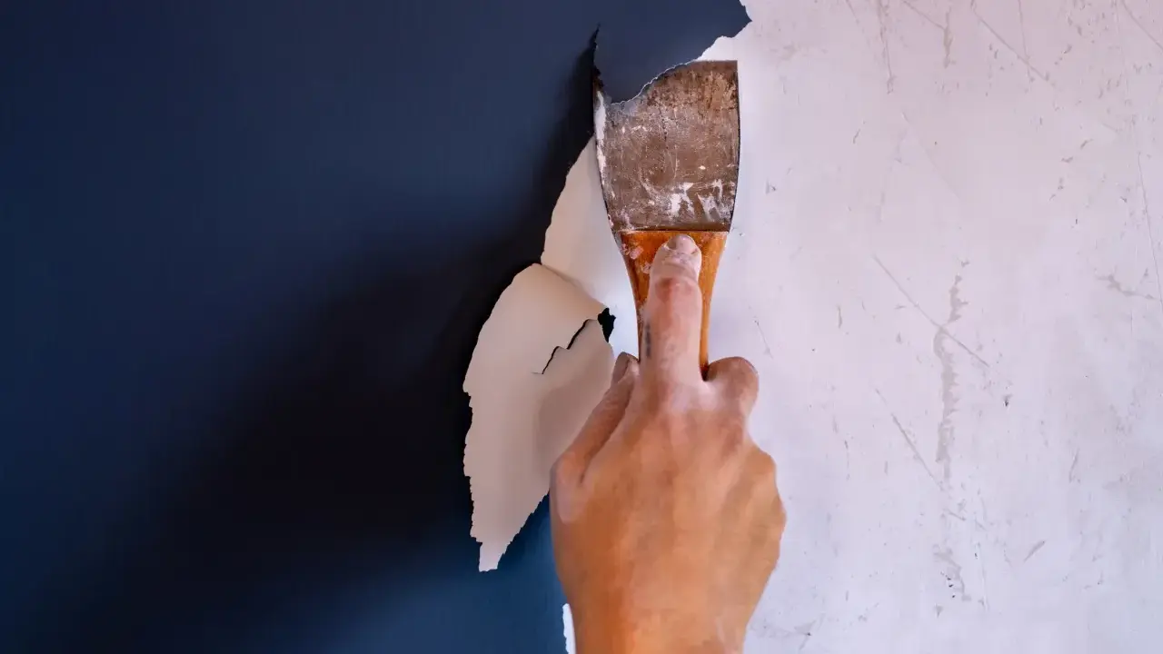 Hand schabt mit einem Spachtel die alte, weiße Dispersionsfarbe von einer dunkelblauen Wand.