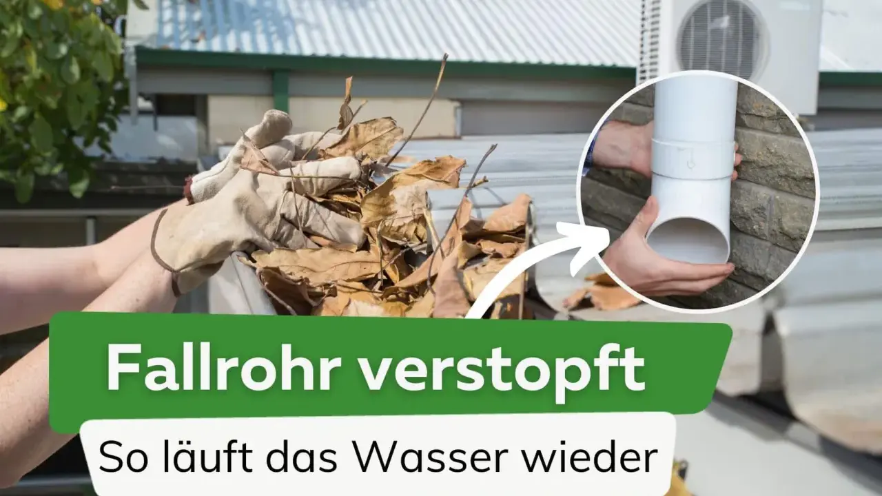 Hände mit Handschuhen entfernen Laub aus einer Dachrinne, um ein **fallrohr verstopft** Problem zu lösen. Ein Detail zeigt das freie Fallrohr.