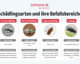 Schädlingsarten: Ameisen, Motten, Kakerlaken, Fliegen. Diese ungeziefer in der wohnung können Lebensmittel, Textilien oder Menschen befallen.