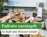 Hände mit Handschuhen entfernen Laub aus einer Dachrinne, um ein **fallrohr verstopft** Problem zu lösen. Ein Detail zeigt das freie Fallrohr.