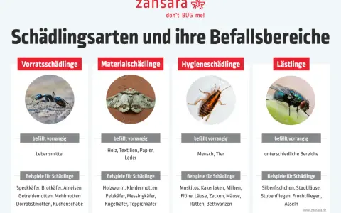 Schädlingsarten: Ameisen, Motten, Kakerlaken, Fliegen. Diese ungeziefer in der wohnung können Lebensmittel, Textilien oder Menschen befallen.