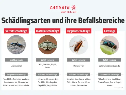 Schädlingsarten: Ameisen, Motten, Kakerlaken, Fliegen. Diese ungeziefer in der wohnung können Lebensmittel, Textilien oder Menschen befallen.