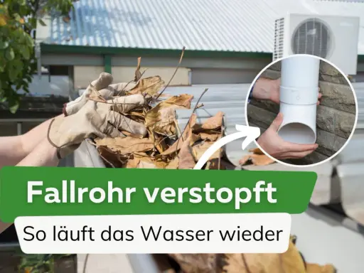 Hände mit Handschuhen entfernen Laub aus einer Dachrinne, um ein **fallrohr verstopft** Problem zu lösen. Ein Detail zeigt das freie Fallrohr.