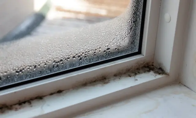 Beschlagene Fensterscheibe mit sichtbarem Schimmelbefall am Fensterrahmen. Dies kann ein Hinweis auf unsichtbaren Schimmel in der Wohnung und dessen Symptome sein.