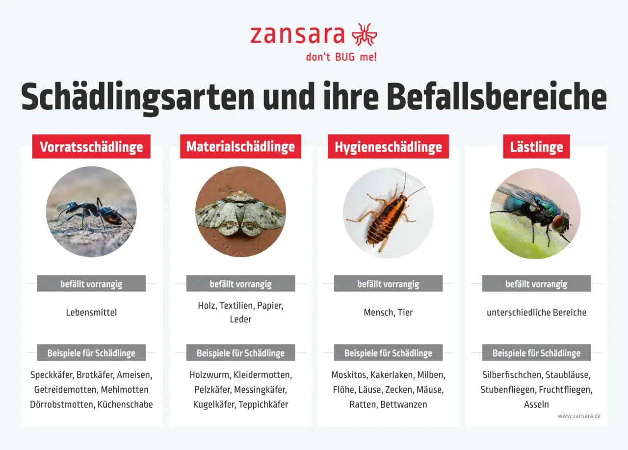 Sch&auml;dlingsarten: Ameisen, Motten, Kakerlaken, Fliegen. Diese ungeziefer in der wohnung k&ouml;nnen Lebensmittel, Textilien oder Menschen befallen.