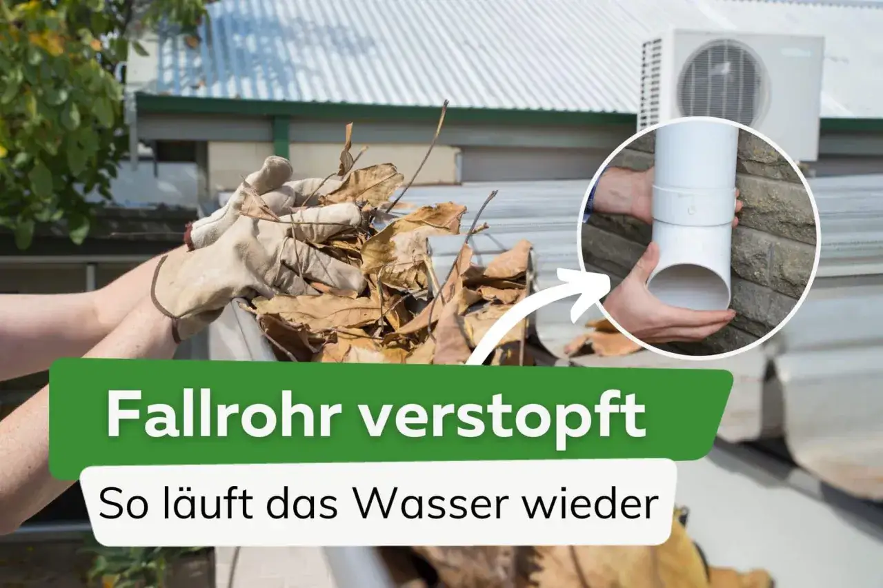 Hände mit Handschuhen entfernen Laub aus einer Dachrinne, um ein verstopftes Fallrohr zu befreien. Ein Detail zeigt das freie Fallrohr.